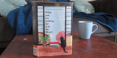 What You Are Looking for Is in the Library (2023) (Michiko Aoyama)