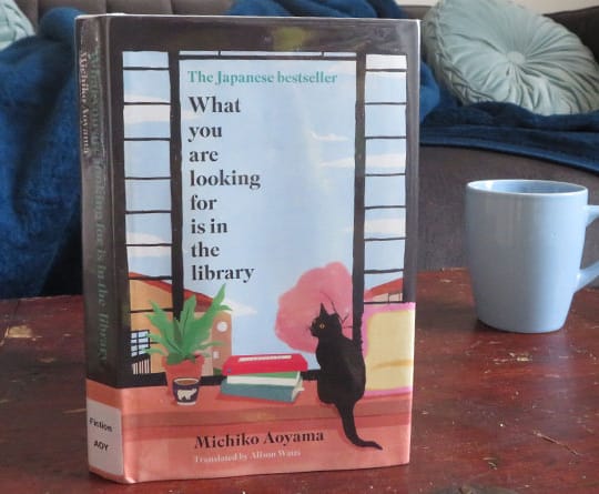 What You Are Looking for Is in the Library (2023) (Michiko Aoyama)