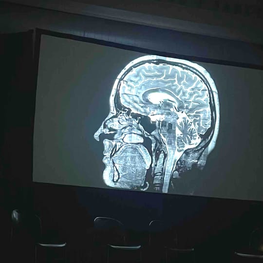 New Reviews & Mental Filmness Wrap-Up!