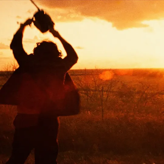 The Texas Chainsaw Massacre (1974) (dir. Tobe Hooper)