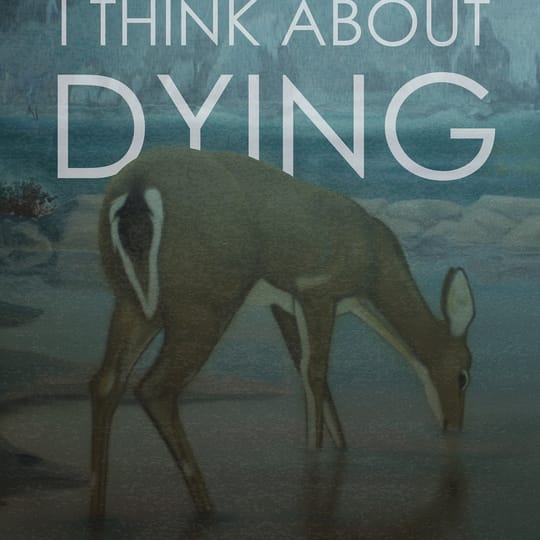 sometimes, i think about dying (2019) (dir. Stefanie Abel Horowitz)