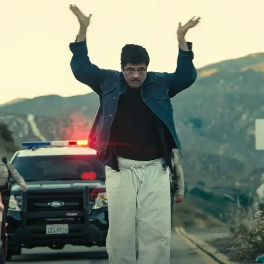 30 Favorite Films from 2025